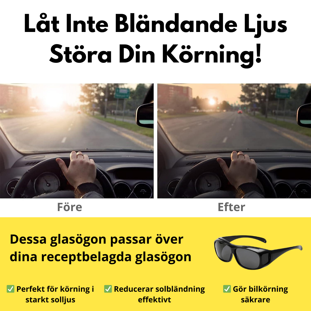 DagVision Solglasögon