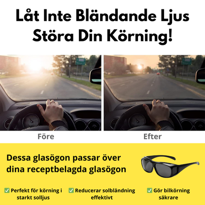 DagVision Solglasögon